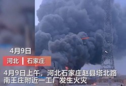仁化媒体爆料事件视频最新,事件视频引发热议，真相究竟如何？